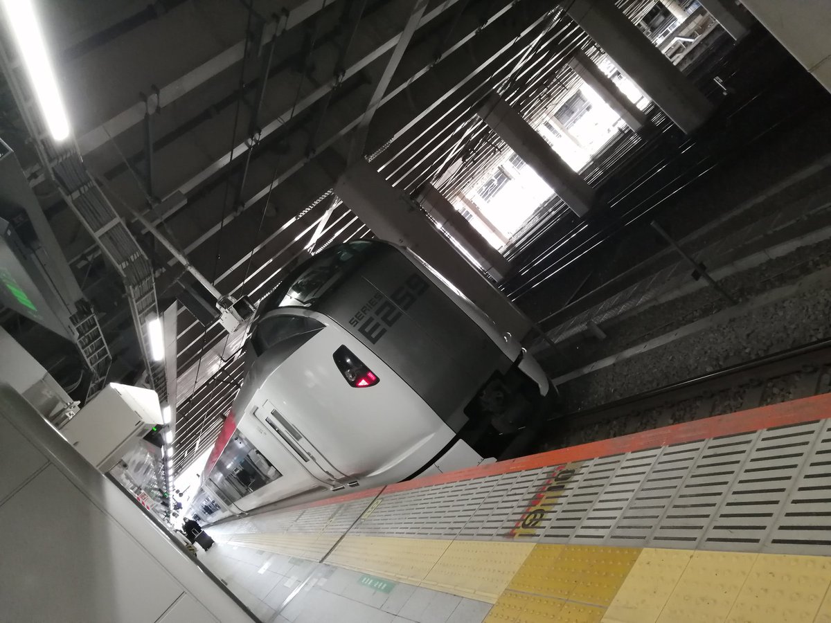 TARUHI◆5/6東7R41a😙黒猫邁進 tweet media