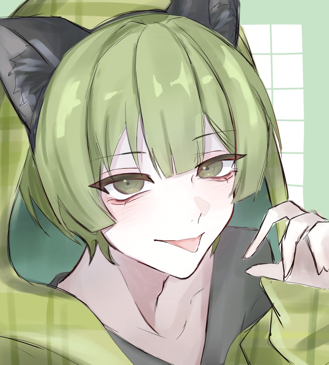 ぽ*の様 ☘️超レア☘️❤️根充実❤️⭐️超⭐️沢山新芽元気株❤️3272⭐️超 ̗̀ 🎍𝐇𝐚𝐩𝐩𝐲 𝐍𝐞𝐰 𝐘𝐞𝐚𝐫🎍 ̖́- ⁡ ⁡ ⁡ ⁡ 2026年もどうぞ