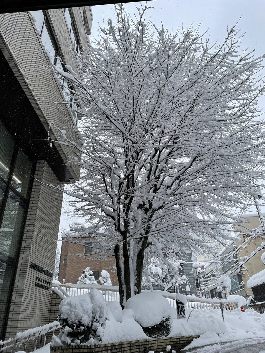 ayapioboe's tweet photo. 無事着いたー❄️ https://t.co/TPPS1JsTpr