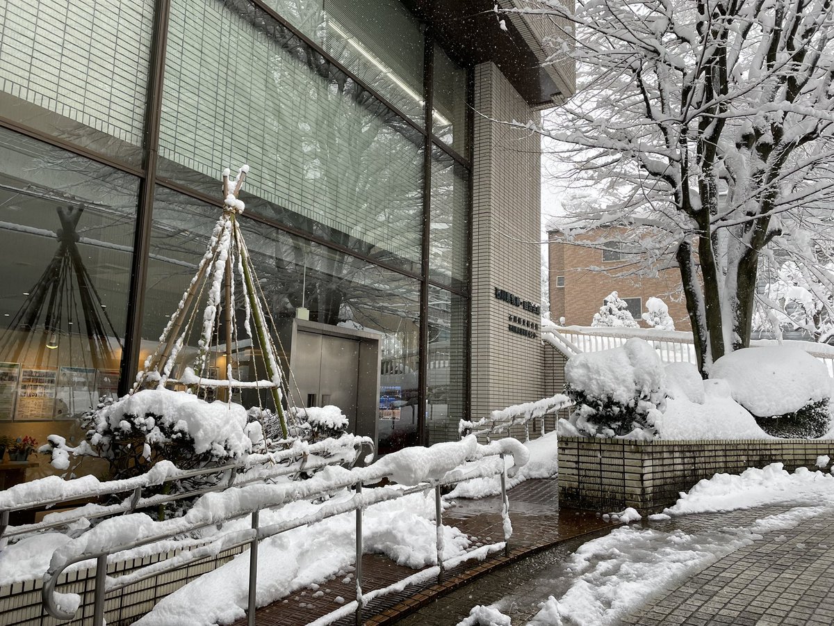 ayapioboe's tweet photo. 無事着いたー❄️ https://t.co/TPPS1JsTpr