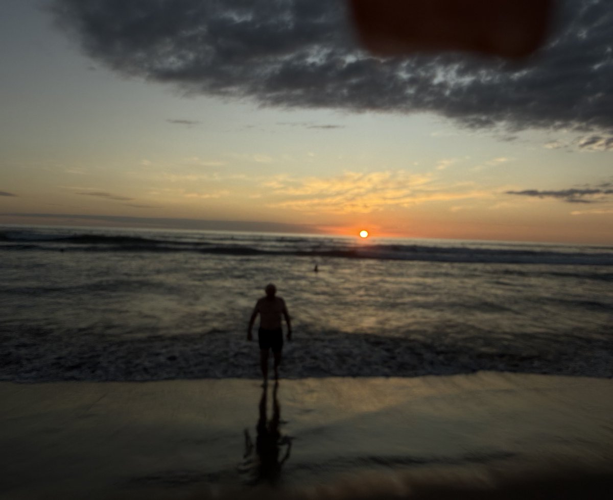 Paul Alofs tweet media