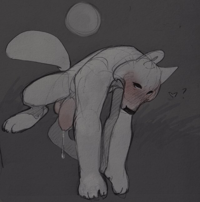 kit (@porcelainekit) on Twitter photo 