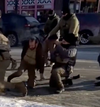 Alex Pretti execution killing