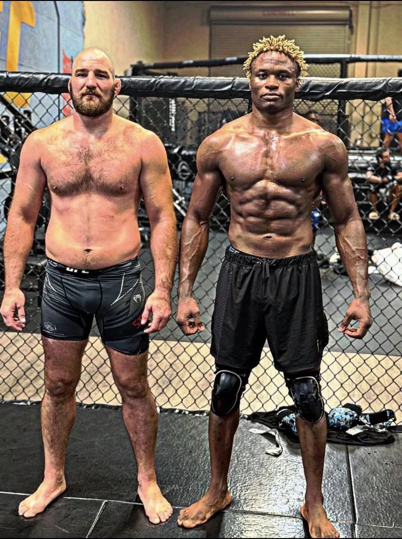 Finz Chats MMA tweet media