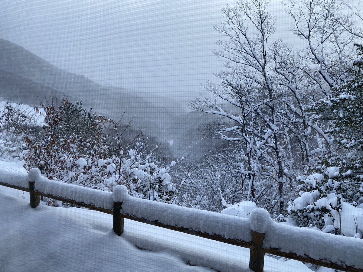Shingo_Onsen2's tweet photo. いつも神郷温泉をご利用頂きありがとうございます♨️降ったり、止んだりのお天気です⛄️
お気をつけてお越しくださいませ♨️
11:00より営業しております♨️
本日もレストラン営業、貸切営業とさせ���いただきます🙇‍♀️ご不便をおかけしますが宜しくお願いいたします🙇‍♀️ https://t.co/DN2vXO4HS3