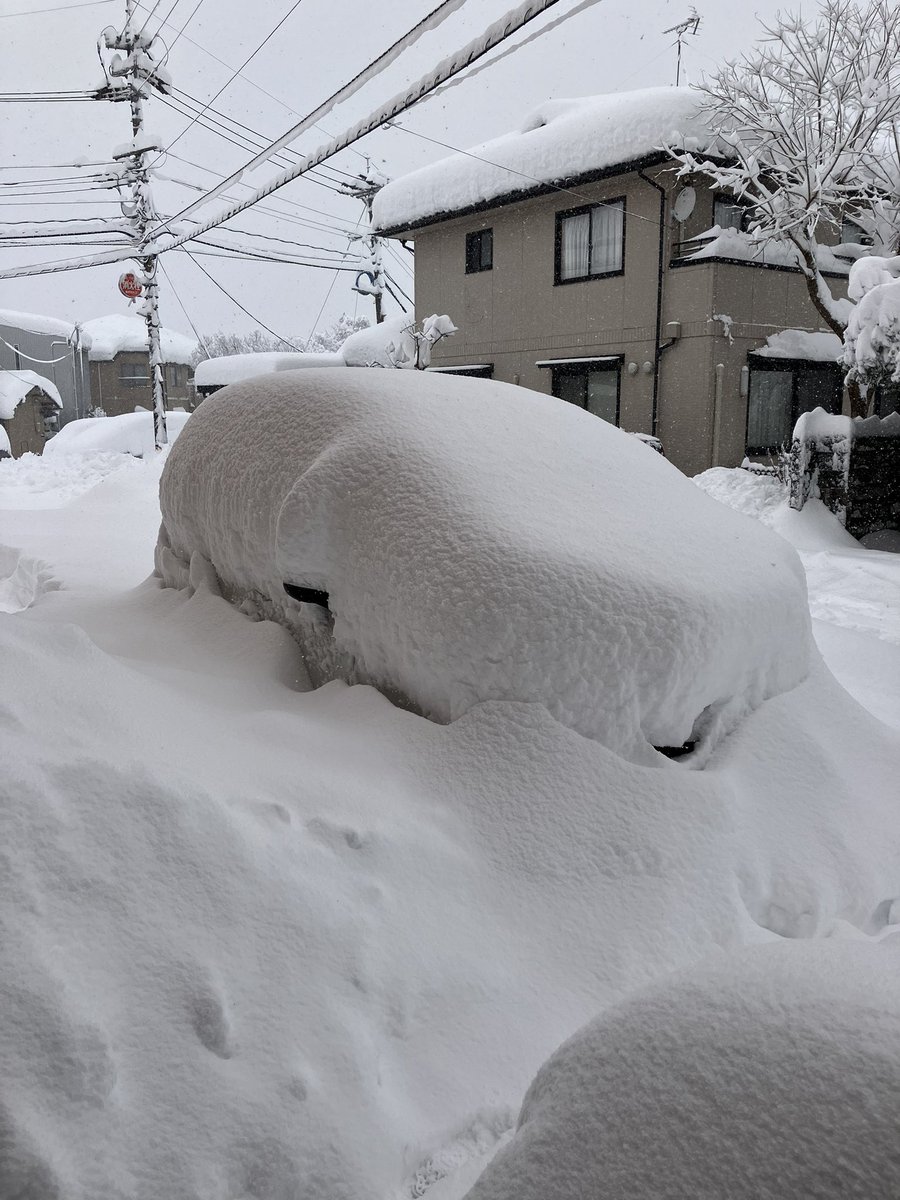 スコップ、車に載せたままや。