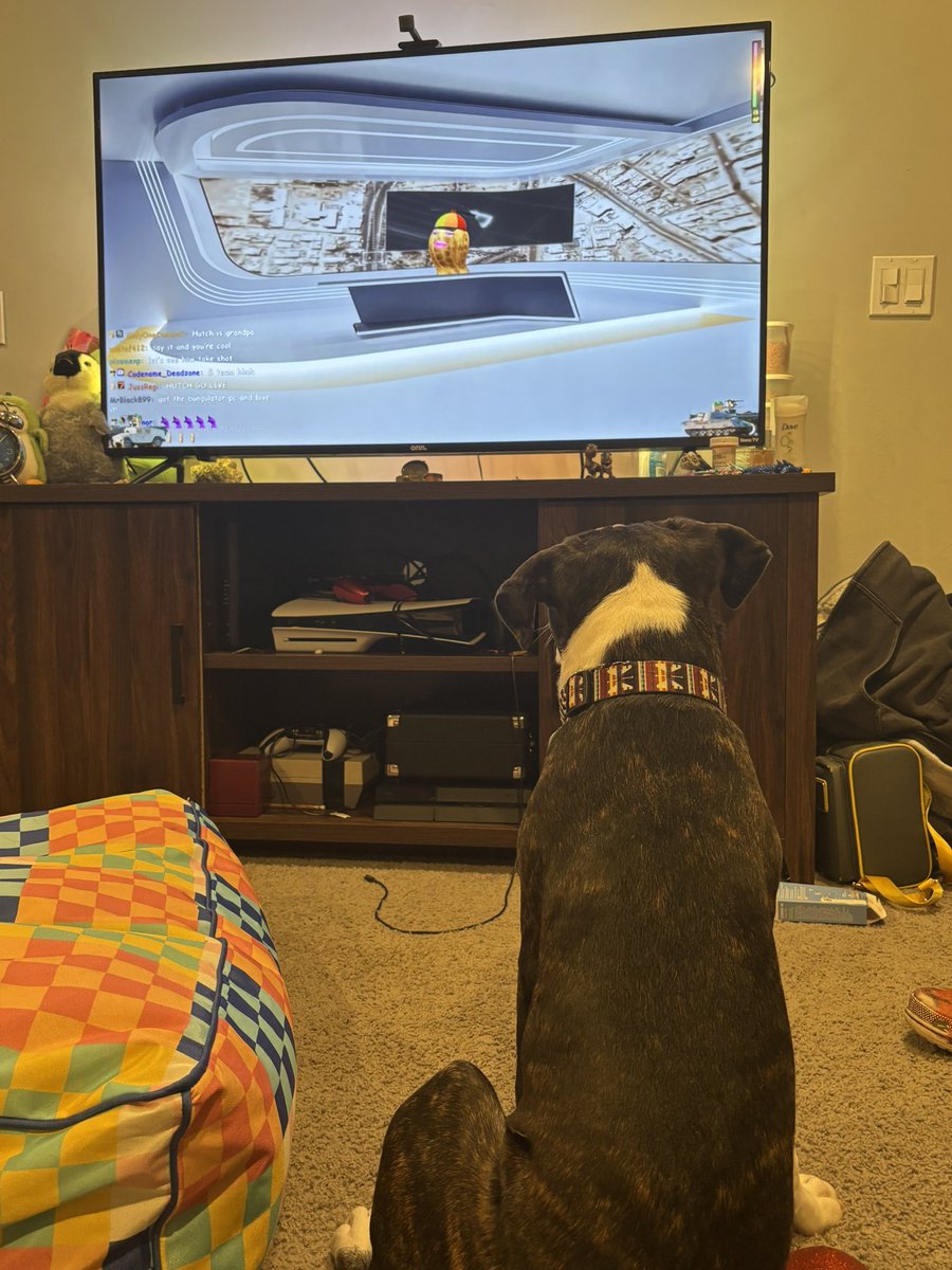 cakeygames_'s tweet photo. Went from walking around being annoying to this as soon as we put @theburntpeanut on. Literally his biggest fan right here. https://t.co/y984xcDkQZ