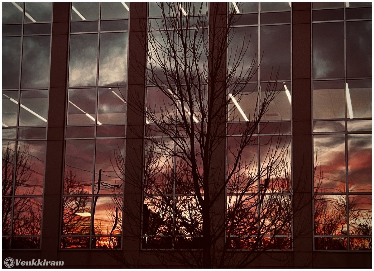 venkkiram's tweet image. கண்ணாடிச் சுவர்களுக்குள் கவிதை.

#venkkiclicks #SunsetPhotography #EveningReflections #UrbanSunset #CityMood #ReflectedLight #CapturedMoments #Reflections #SunsetMood #UrbanFrames #EveningLight #SunsetReflections #UrbanNature #NJPhotography #GoldenHour #GlassArchitecture
