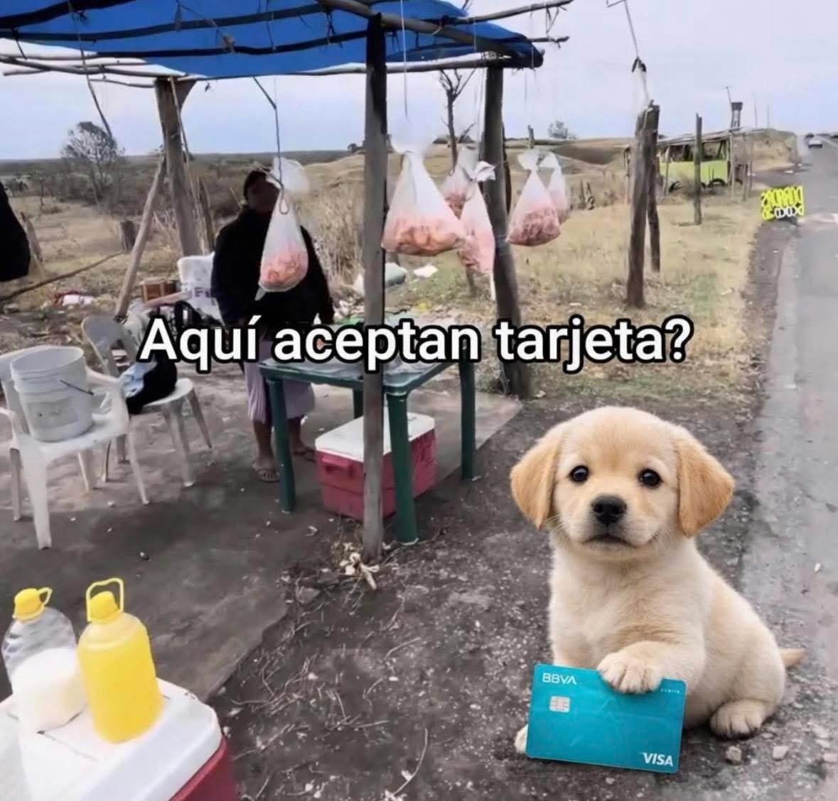 DiloConPerritos's tweet image. Yo en cualquier lado