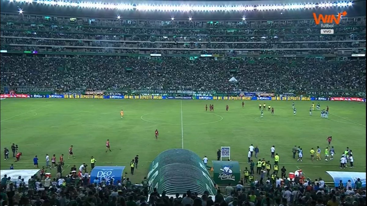 4 años pasando por el peor momento de nuestra historia, debut perdiendo contra un recien ascendido, y asi responde esta hinchada desde el dia 1, este sentimiento no lo entenderias.