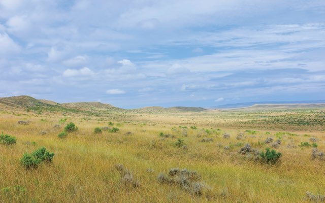 Brett Chapman tweet media