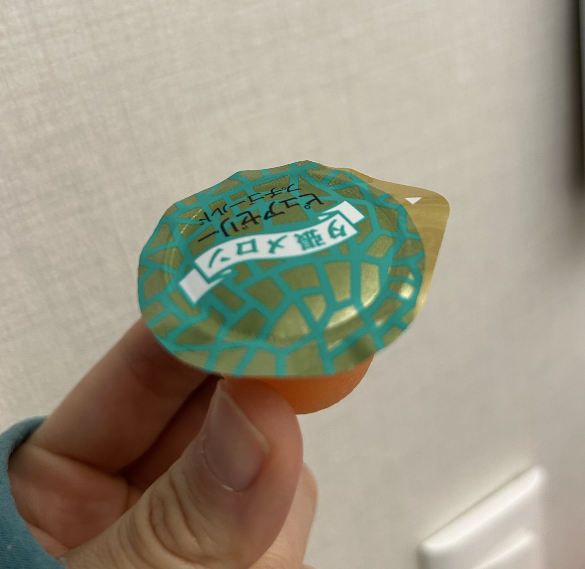 강풀이가 준 젤리 맛있다 풍뎅이가되