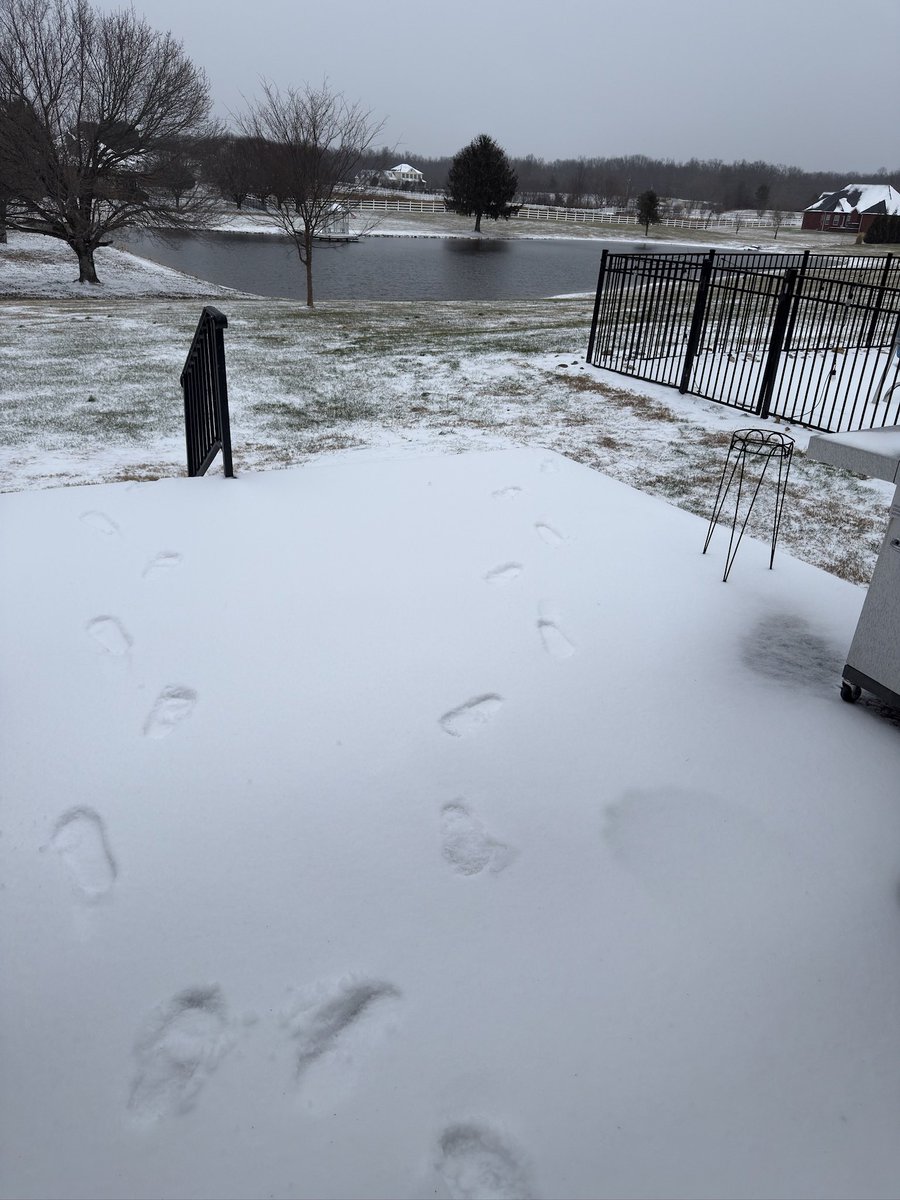 phattskis's tweet photo. Middle Tennarctica has us making cornbread and chicken dumpling soup. A cold has me not feeling great but we don’t have anywhere to go anywhere. I see a mega guitar sesh ahead as now I have busted the slide’s icicles and turned the heater up a little just in case. #firsttracks https://t.co/PZmrgMFhaj