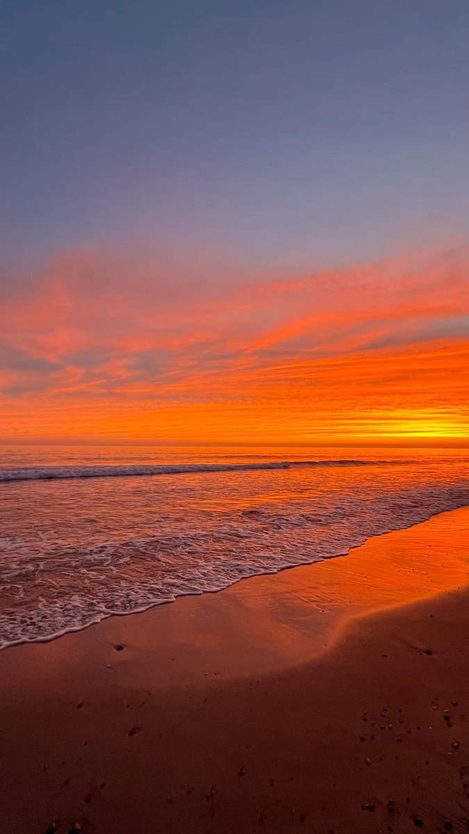 Dreamarrive (@dreamarriv5900) on Twitter photo 