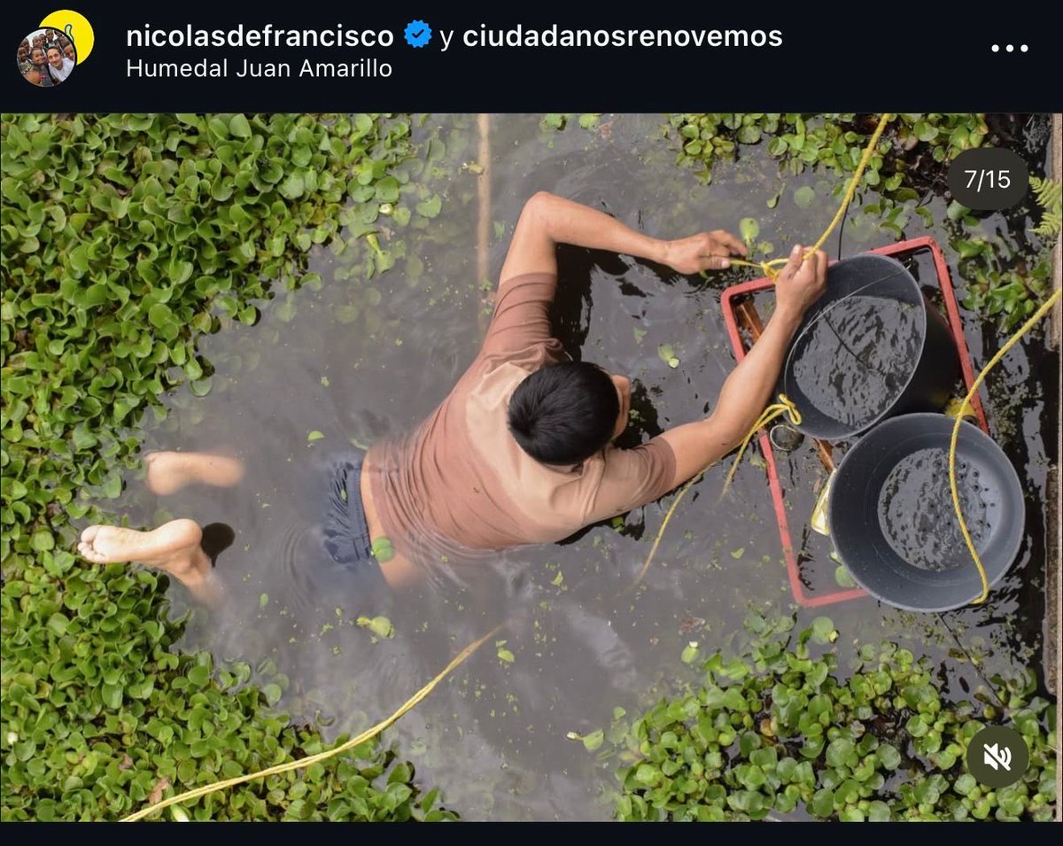 AsotoAdriana's tweet image. Candidato @NdeFranciscoG , toda iniciativa para cuidar los humedales es bienvenida, pero lo que usted hizo está prohibido. 

Igual que con los afiches de su campaña, es clave que en este caso no se incumplan las normas. Sus acciones expusieron a quienes lo ayudaron a un alto