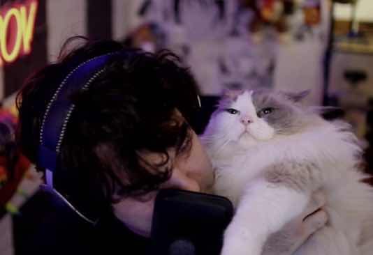 Thanks chat for the screenshots 🐈