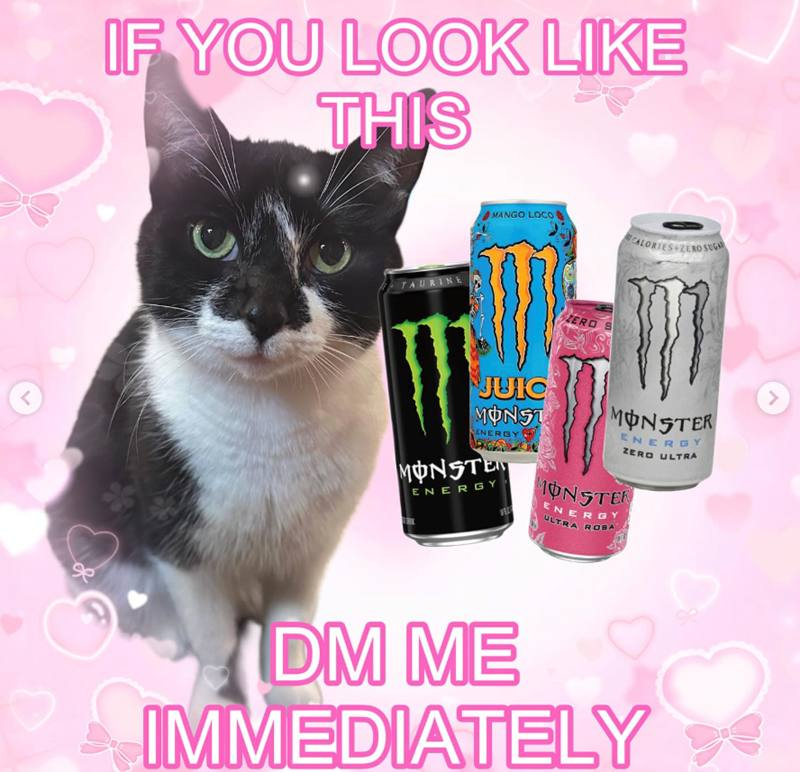 hyperborecat's tweet image. 