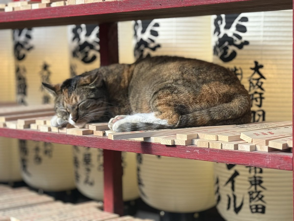 まりな (@marina7484) / Posts / X