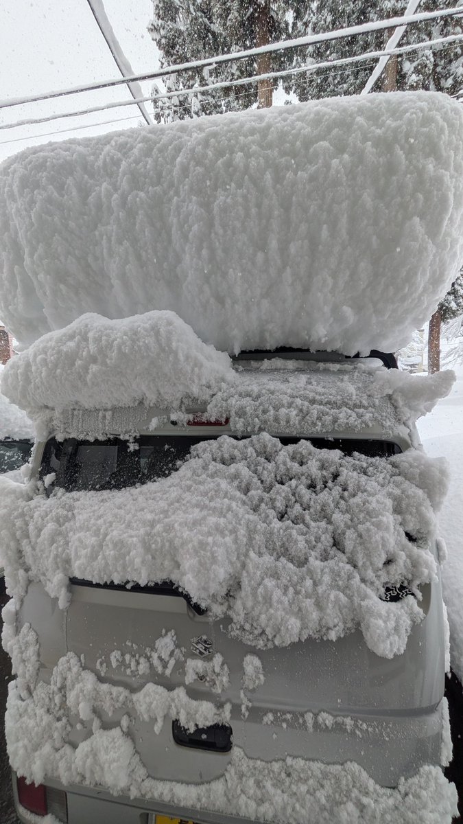 MNRTFjunk's tweet photo. 結構降ったね☃
昨日雪下ろししておいてよかった〜 https://t.co/zwL0fAY5ia