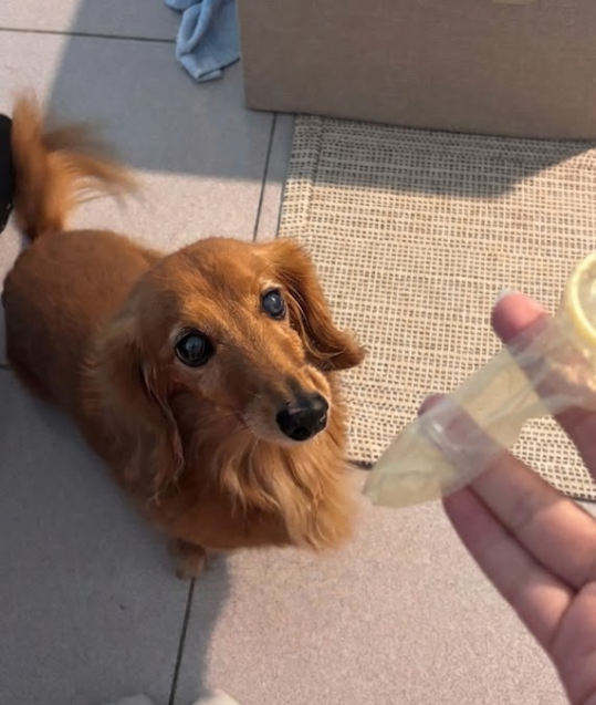 旦那の部屋のゴミ箱を漁っているなと思ったらコレ