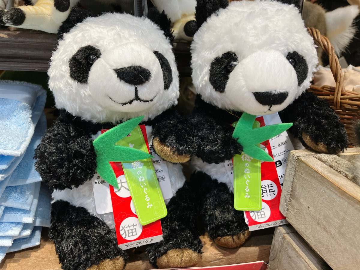 上野動物園シャオシャオ& レイレイ 5点グッズ 日本でシャオシャオ