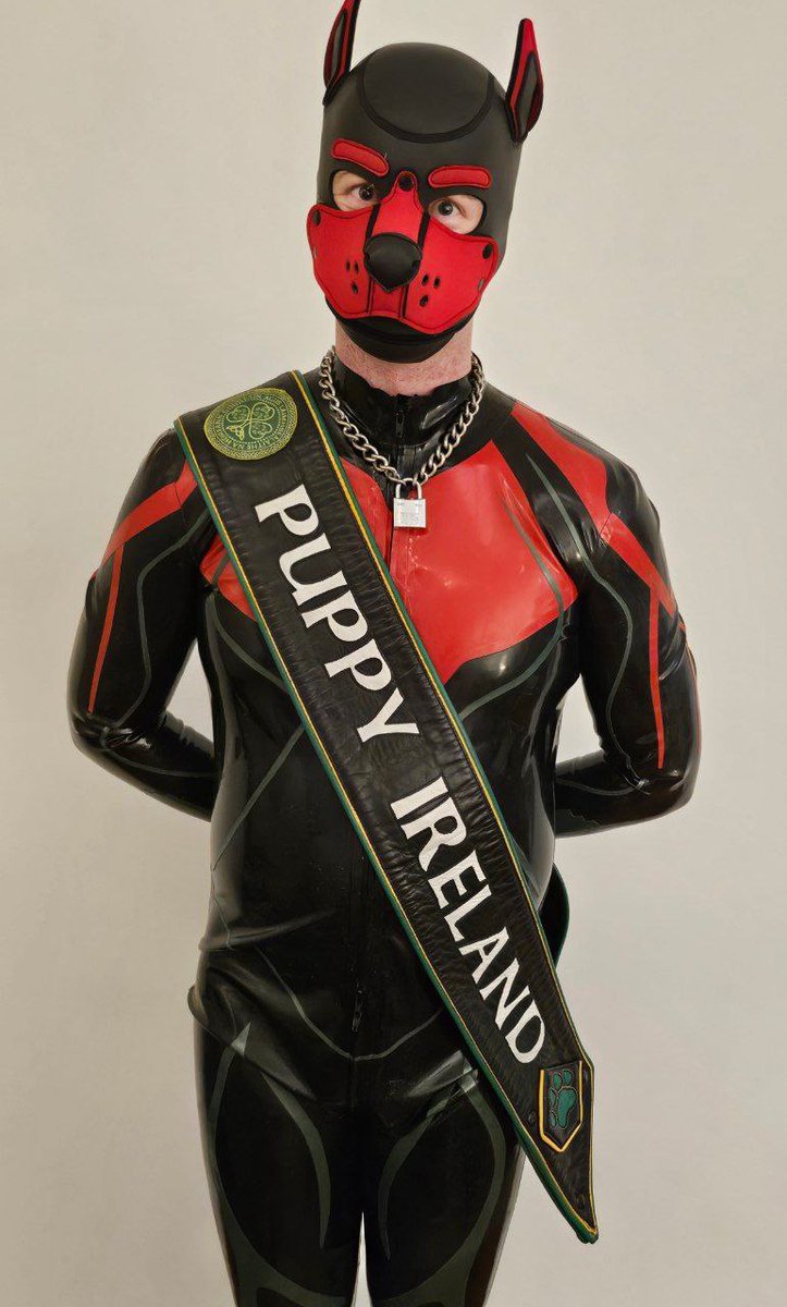 Pups & Handlers Of Ireland tweet media