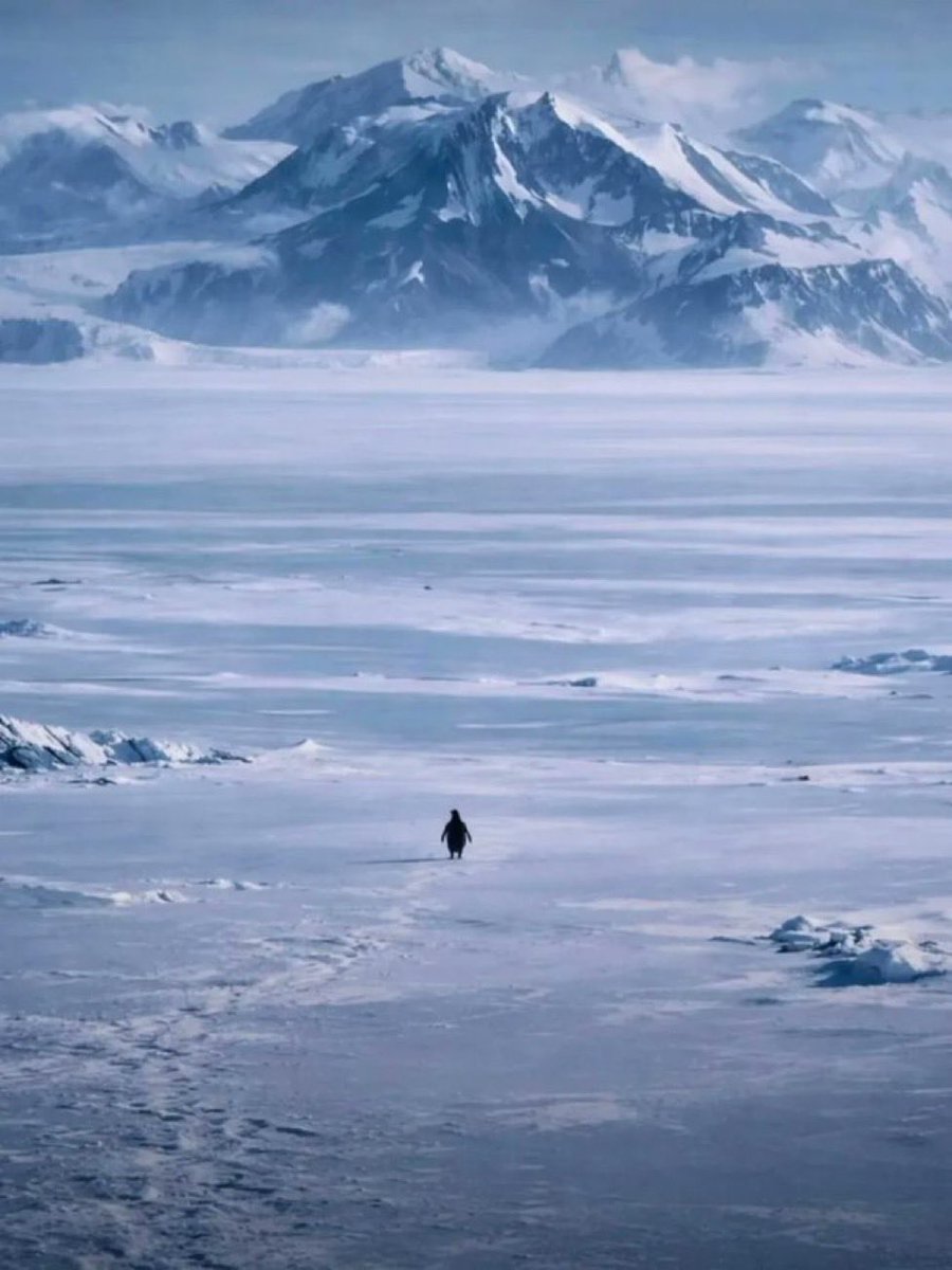 When I left my federal public service job 11 years ago to start Gees Bees, it felt like a scary step into the unknown. But for over a year, I had listened to the daily voice in my head that said “you’re supposed to be doing something else.” until I couldn’t ignore it anymore. I