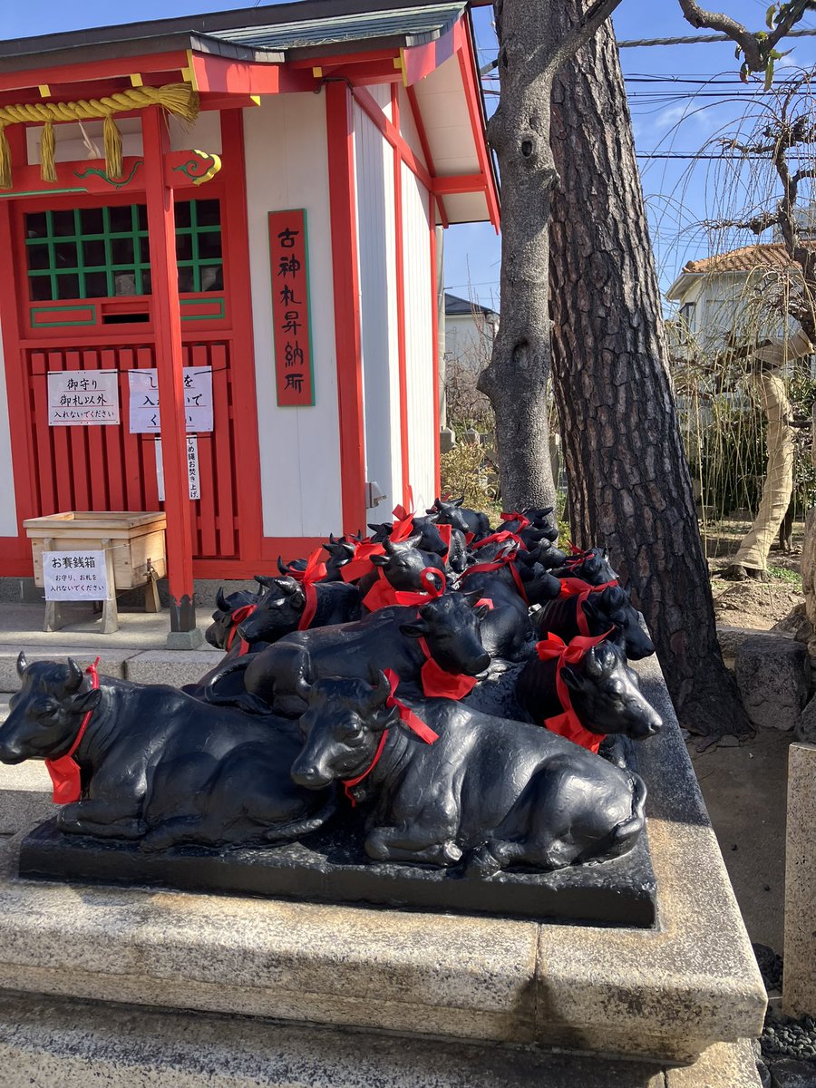 今年のブル相場を願って🐮