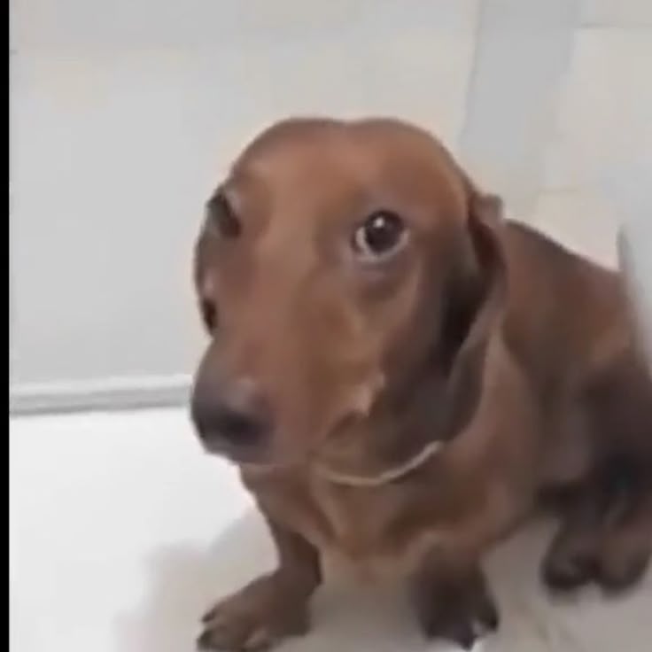 lo triste que es darme cuenta que yo siempre subo fotos con todos por su cumple y conmigo nadie sube ES MAS a veces ni me saludan