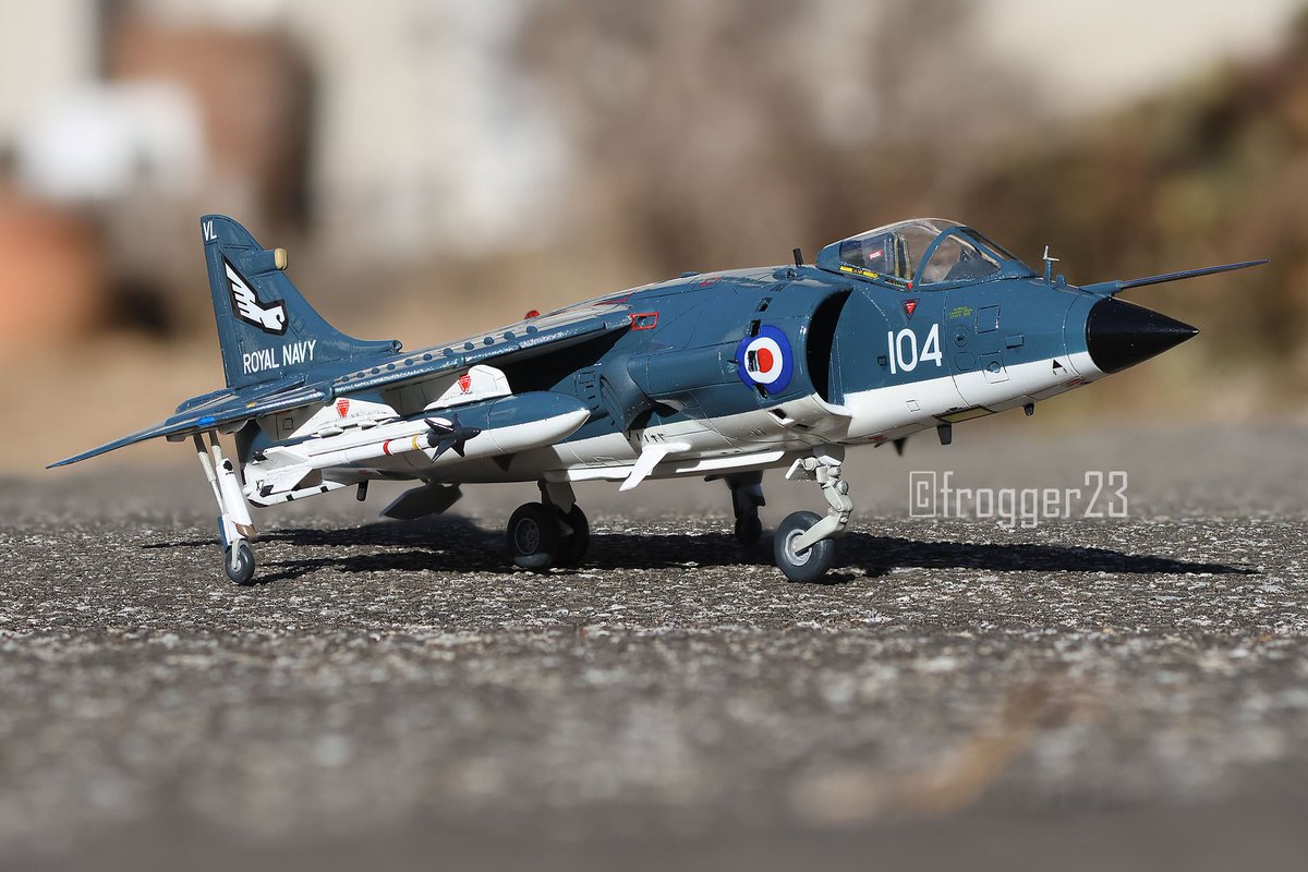 外撮りシーハリアー。庭でもなかなか良い感じね。