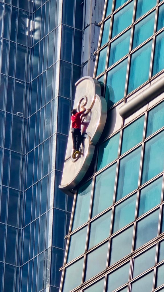 enchiladas surfboards tweet media