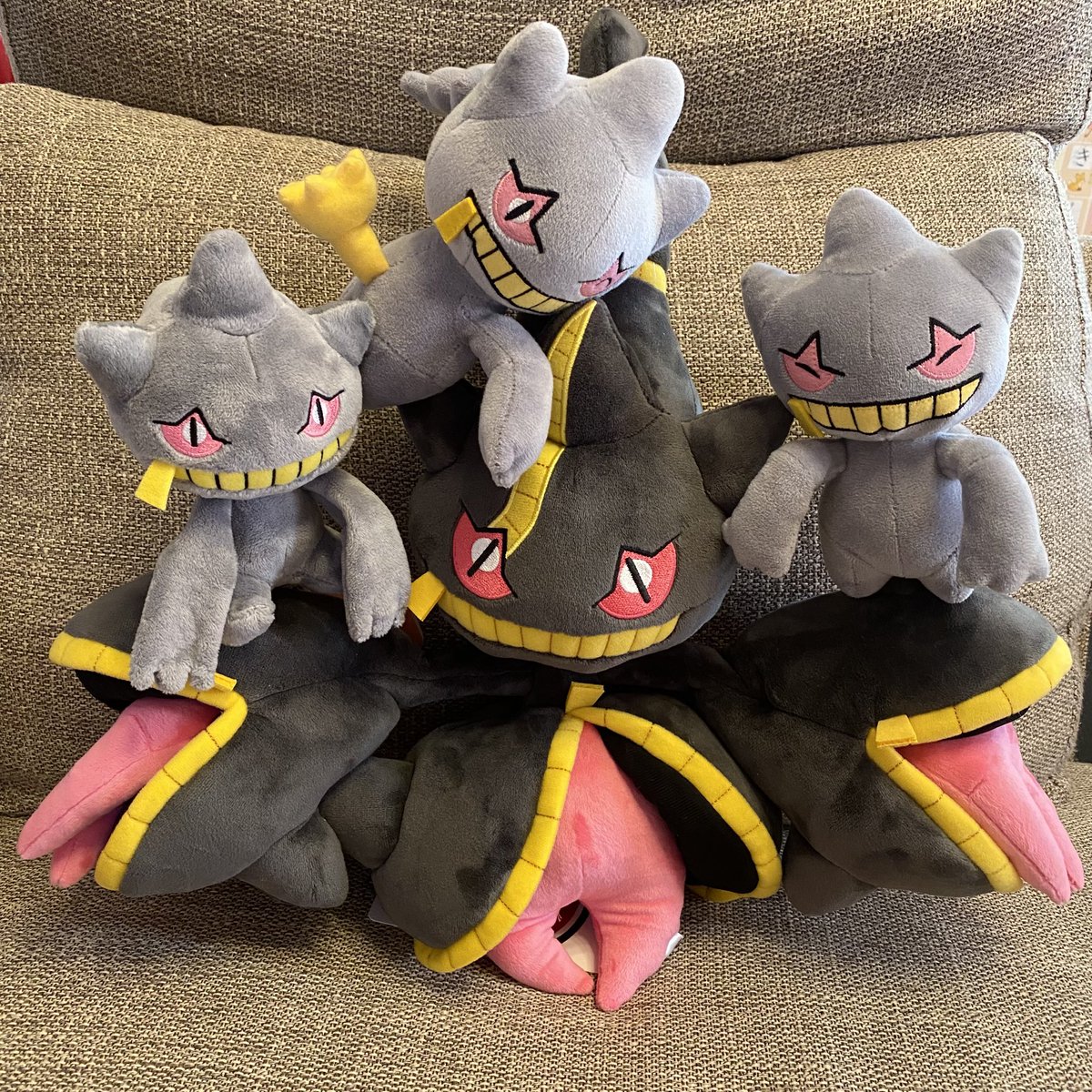 メガジュペッタとメガヤミラミのぬいぐるみが届いたよー！ 可愛すぎる