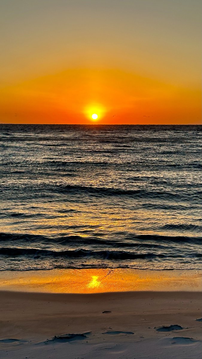 3svn_'s tweet image. S’il vous plaît