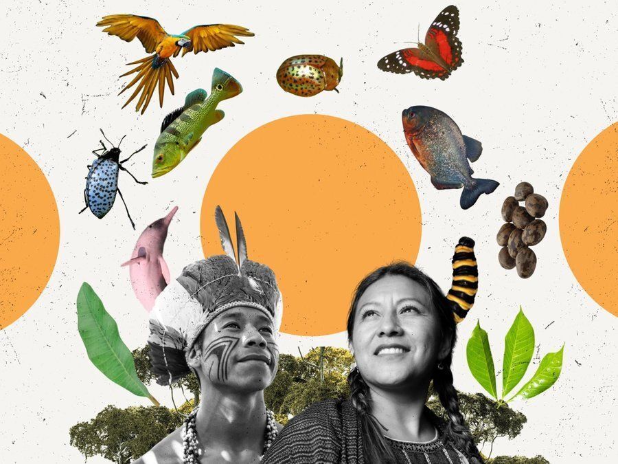 UNGeneva's tweet image. What do the #SDGs have to do with #IndigenousPeoples?

🌎responsibility towards nature
🌎protection of biodiversity &amp;amp; ecosystems
🌎proper management of available resources

It’s time to heed their voices, reward their knowledge and respect their rights!

#Agenda2030