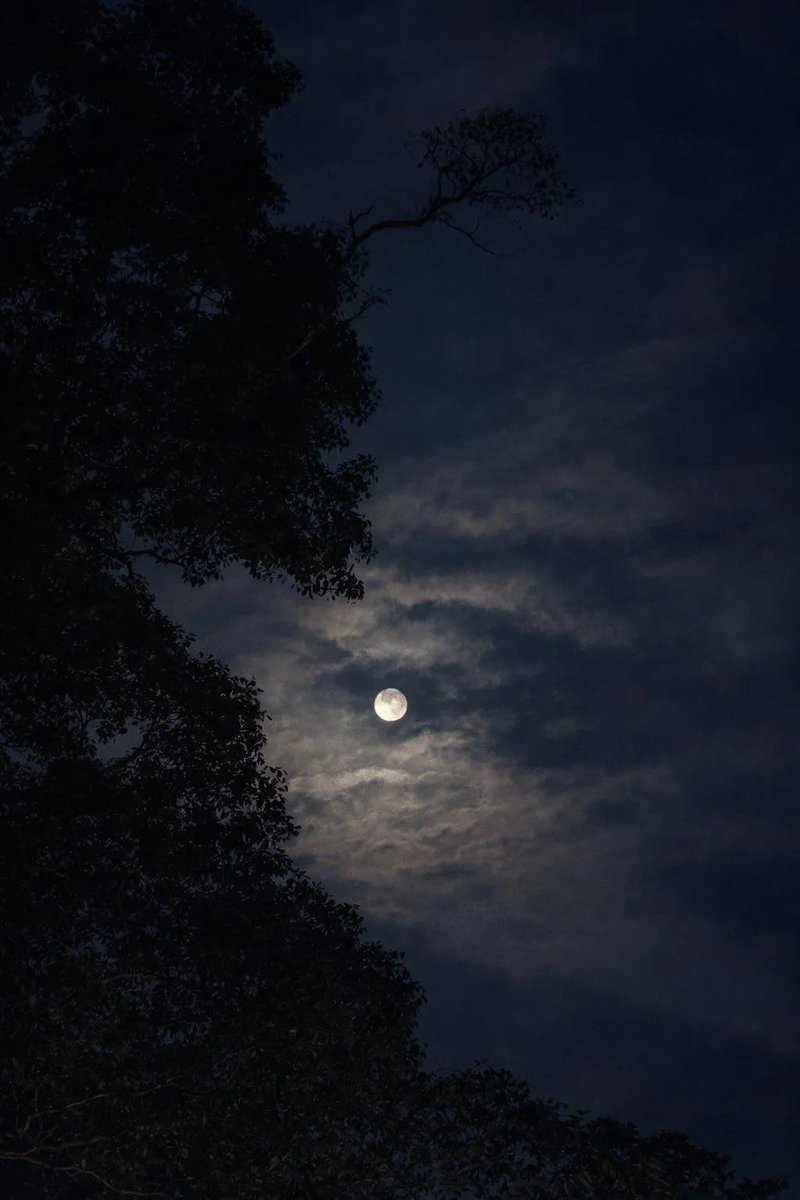 Te regalo la luna, para que cada noche
recuerdes que alguien pensó en ti
cuando el cielo se llenó de silencio, te regalo la luna con sus luces y sus sombras, para que ilumine tu camino, te regalo la luna con un amor que te hay brillar…suspirar y sentir ….