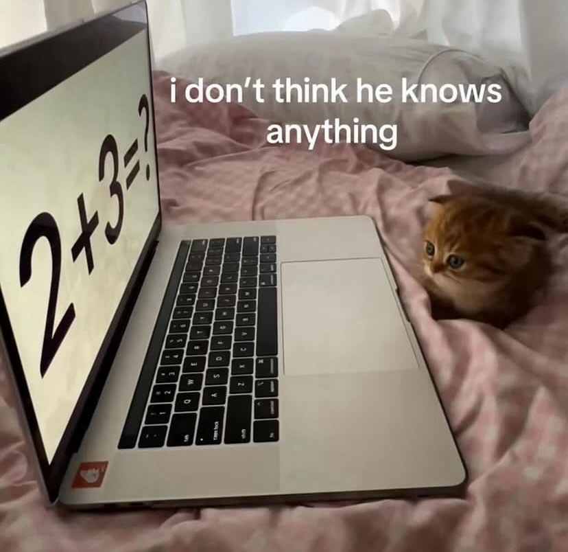 PunchingCat's tweet image. 