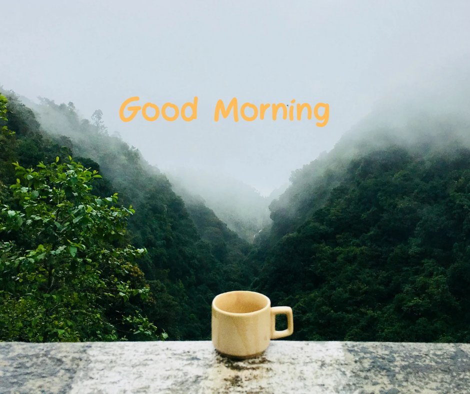 Hi, Good morning.....

facebook.com/share/p/1BkPqh…