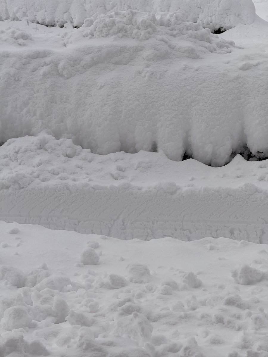 ooooliveeee's tweet image. 膝上くらいは積もってそうで、山に降るのはスキーとか潤って良いけど平地の積雪は辛い😓明日仕事だから駐車スペース何とかしなきゃ💪除雪関連の仕事の方、寒い中大変な作業だろうし感謝！これじゃ配送関連も届かないし遅延もありそう。
#雪