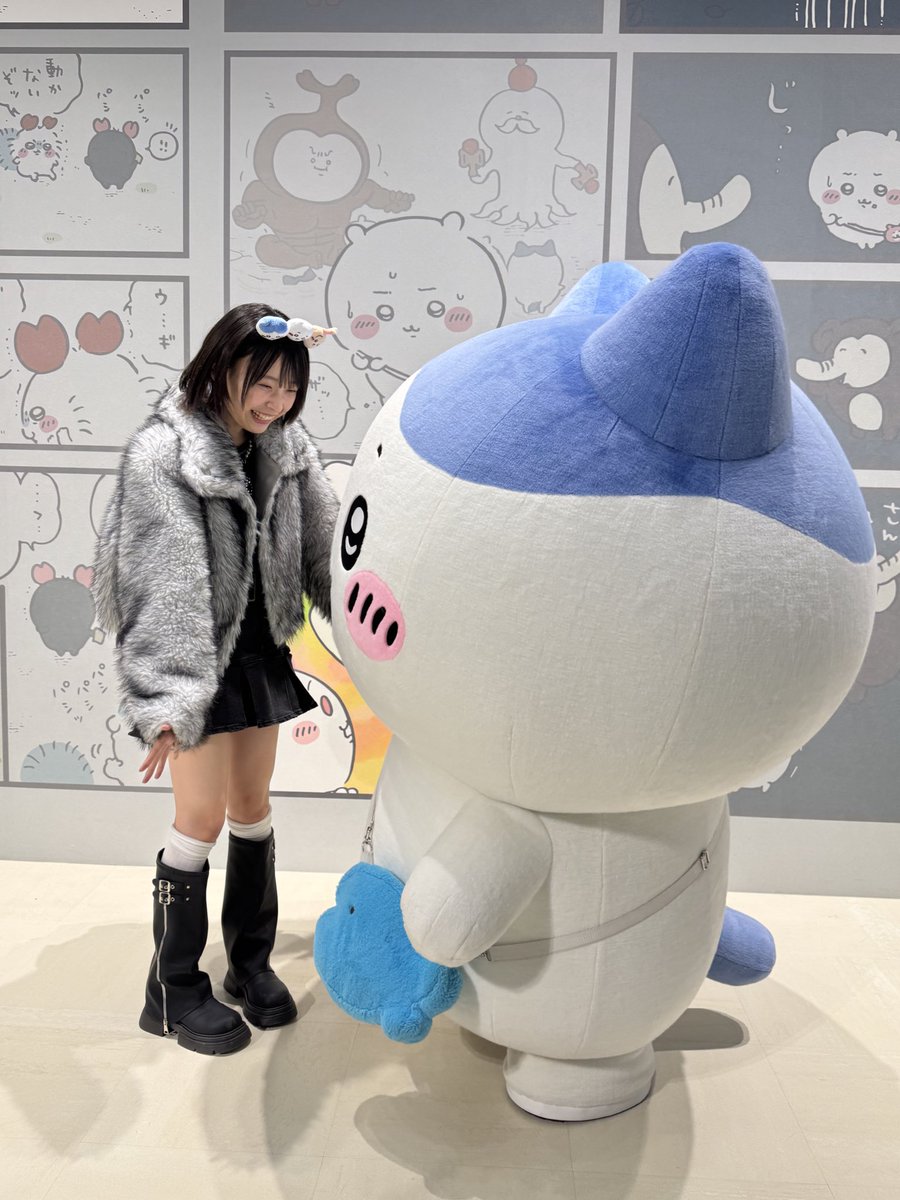 Hiyuka_1007's tweet image. ハチワレさんに会えました（｡･ω･｡）♡