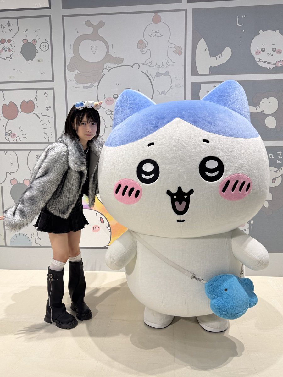 Hiyuka_1007's tweet image. ハチワレさんに会えました（｡･ω･｡）♡