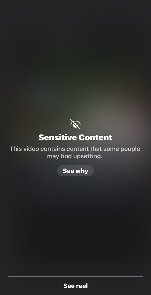 Shahrokh Dolkou tweet media