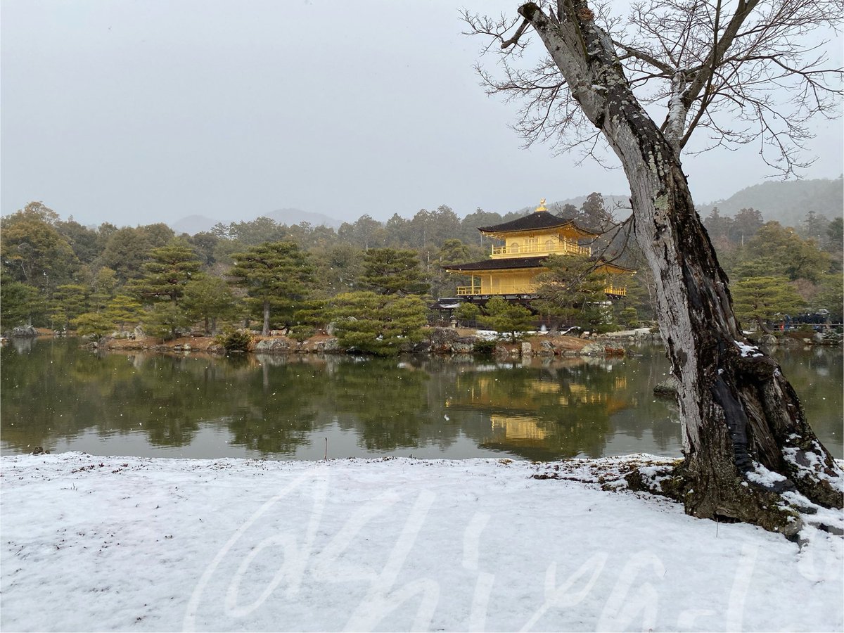 雪の金閣寺！！！！！！！とても京都っぽい！！！！！！！