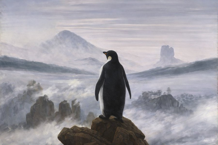 John Salisbury tweet media