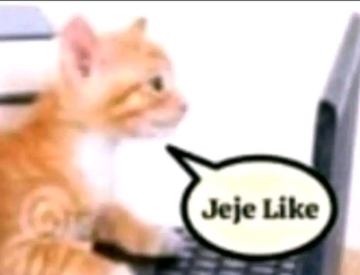 𝓜el 🍰 (@mela_ruyka) on Twitter photo 