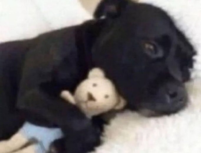 edusonzer's tweet image. queria estar em um show da marina agora ouvindo marinada ao vivo