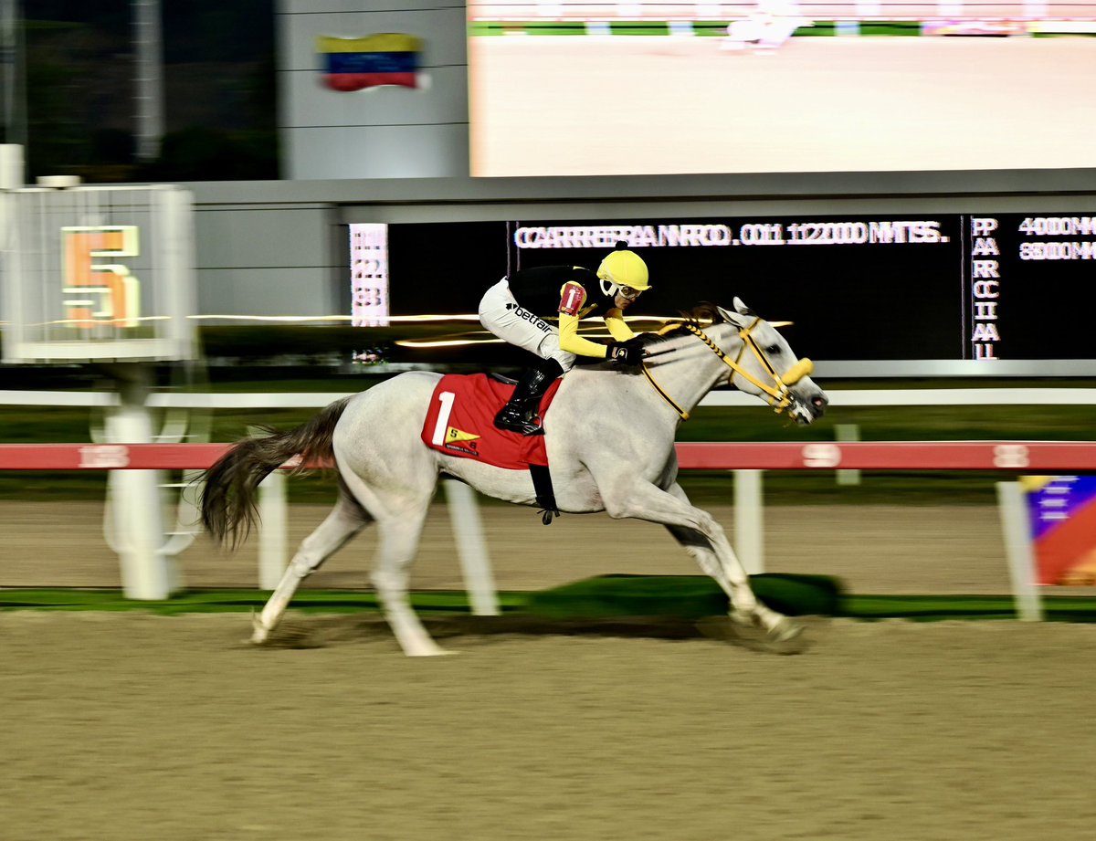 Haras Los Caracaros tweet media