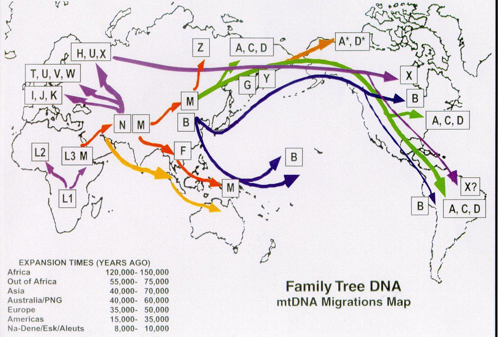 <a href="/visegrad24/">Visegrád 24</a> I believe all on earth are migrants, except native Africans, Study DNA movements on earth