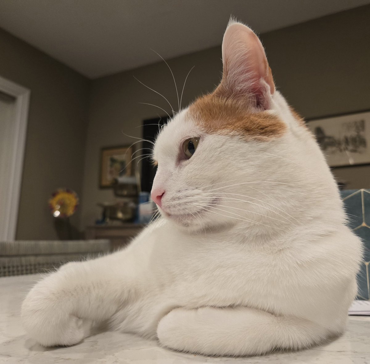 Busy Boy Floyd tweet media