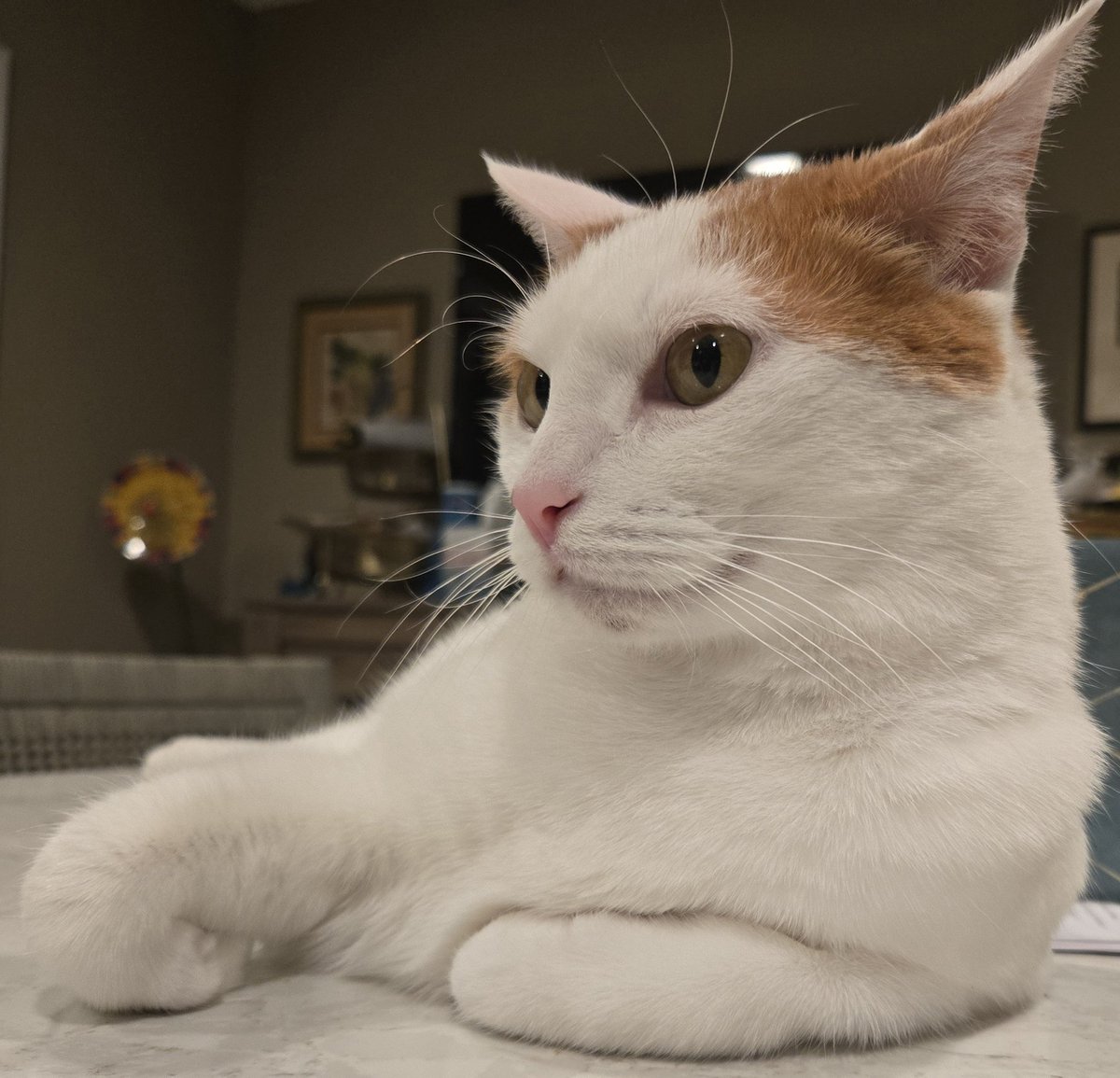 Busy Boy Floyd tweet media