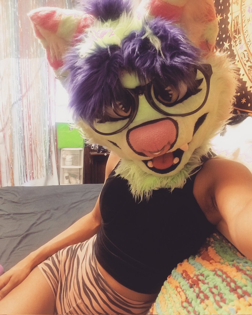 Pickle Mittens tweet media